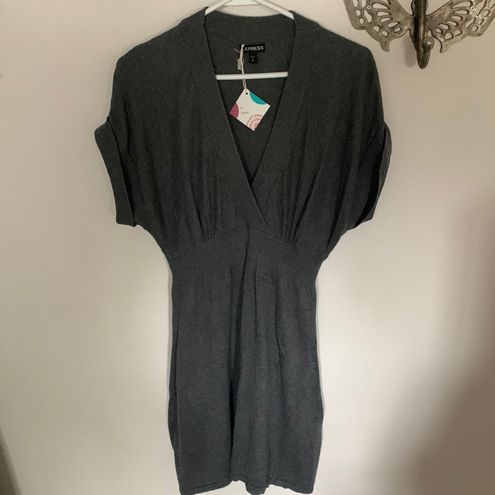 Express Sweater Dress/Tunic